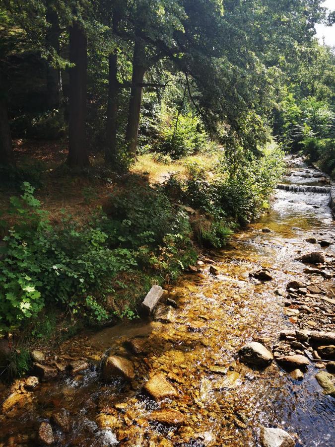 Świeradów-Zdrój Chillout-Aparts מראה חיצוני תמונה